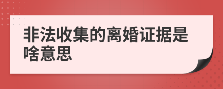 非法收集的离婚证据是啥意思