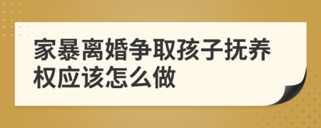 家暴离婚争取孩子抚养权应该怎么做