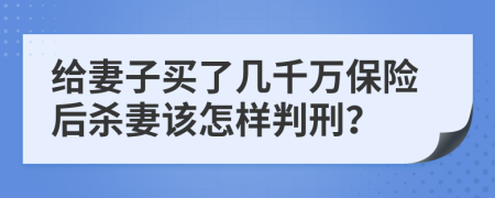 给妻子买了几千万保险后杀妻该怎样判刑？