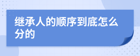 继承人的顺序到底怎么分的