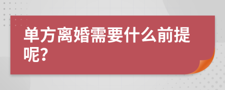 单方离婚需要什么前提呢？