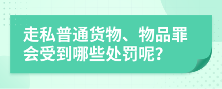 走私普通货物、物品罪会受到哪些处罚呢？