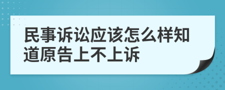 民事诉讼应该怎么样知道原告上不上诉