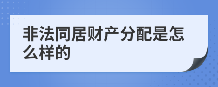 非法同居财产分配是怎么样的