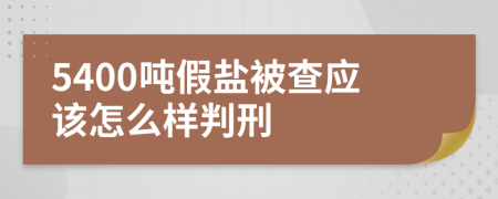 5400吨假盐被查应该怎么样判刑
