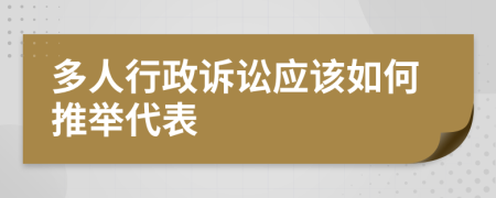 多人行政诉讼应该如何推举代表