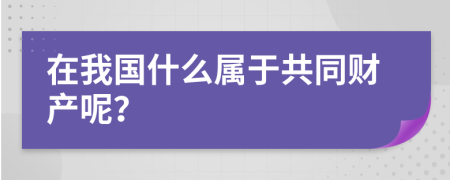 在我国什么属于共同财产呢？