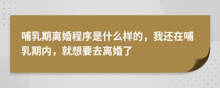 哺乳期离婚程序是什么样的，我还在哺乳期内，就想要去离婚了