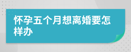 怀孕五个月想离婚要怎样办