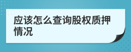 应该怎么查询股权质押情况