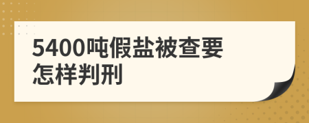 5400吨假盐被查要怎样判刑