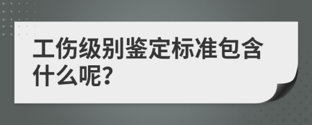 工伤级别鉴定标准包含什么呢？