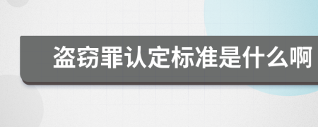 盗窃罪认定标准是什么啊