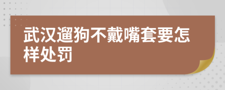 武汉遛狗不戴嘴套要怎样处罚