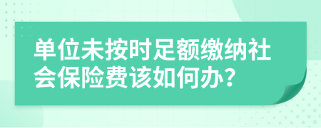 单位未按时足额缴纳社会保险费该如何办？