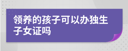 领养的孩子可以办独生子女证吗