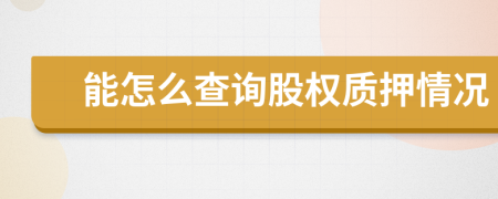 能怎么查询股权质押情况