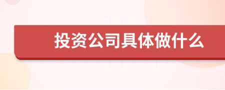 投资公司具体做什么