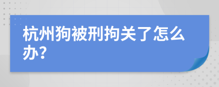 杭州狗被刑拘关了怎么办？