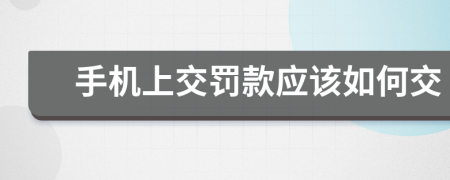 手机上交罚款应该如何交