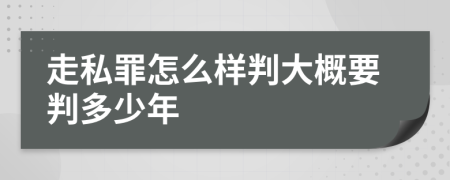 走私罪怎么样判大概要判多少年