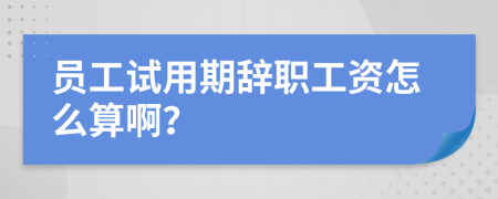 员工试用期辞职工资怎么算啊？