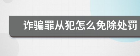 诈骗罪从犯怎么免除处罚