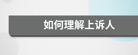 如何理解上诉人