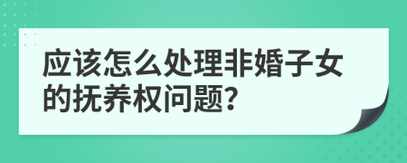应该怎么处理非婚子女的抚养权问题？