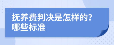 抚养费判决是怎样的？哪些标准