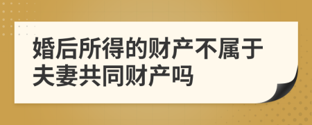 婚后所得的财产不属于夫妻共同财产吗