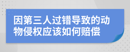 因第三人过错导致的动物侵权应该如何赔偿