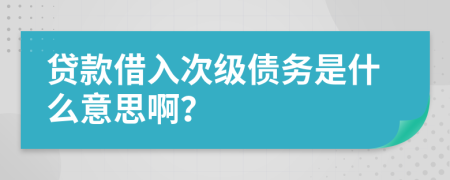 贷款借入次级债务是什么意思啊？