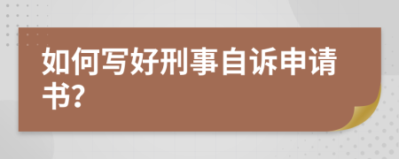 如何写好刑事自诉申请书？