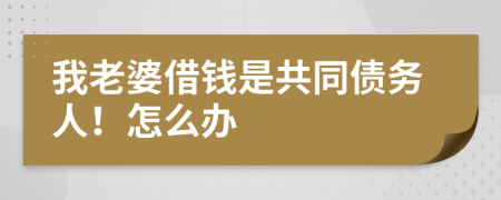 我老婆借钱是共同债务人！怎么办