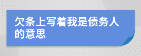 欠条上写着我是债务人的意思