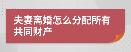 夫妻离婚怎么分配所有共同财产