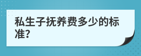 私生子抚养费多少的标准？