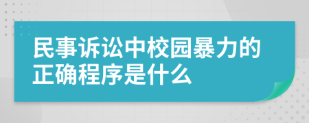 民事诉讼中校园暴力的正确程序是什么