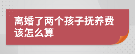 离婚了两个孩子抚养费该怎么算