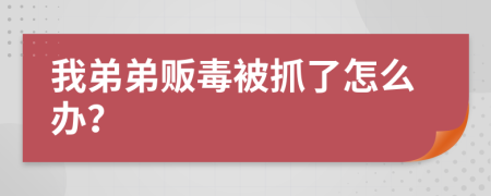 我弟弟贩毒被抓了怎么办？