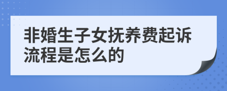 非婚生子女抚养费起诉流程是怎么的