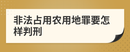 非法占用农用地罪要怎样判刑