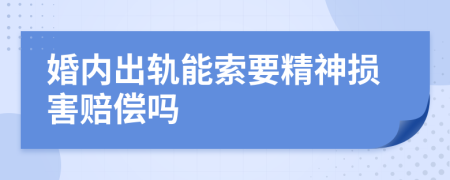 婚内出轨能索要精神损害赔偿吗