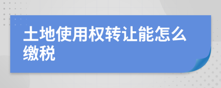 土地使用权转让能怎么缴税