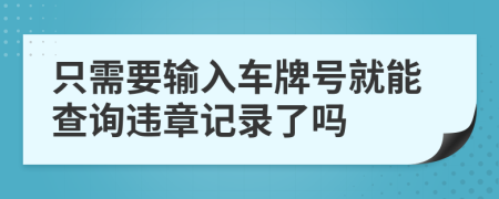 只需要输入车牌号就能查询违章记录了吗