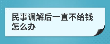 民事调解后一直不给钱怎么办