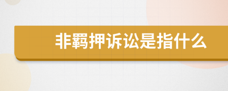 非羁押诉讼是指什么