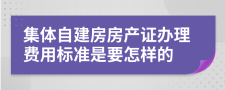 集体自建房房产证办理费用标准是要怎样的