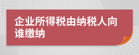 企业所得税由纳税人向谁缴纳